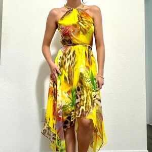 Vintage Cache dress